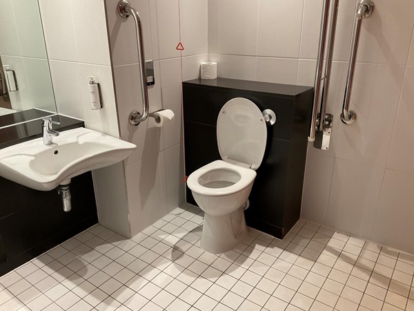 Accessible toilet