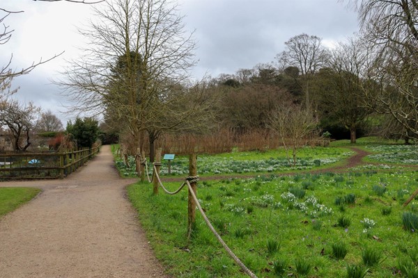 Flat paths of compressed gravel in the gardens
