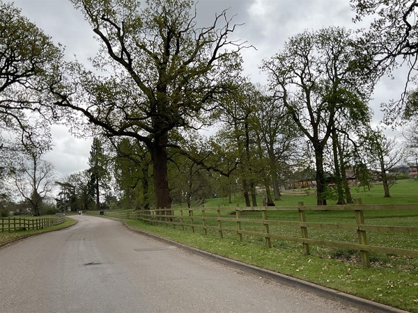 Image of a road by a field