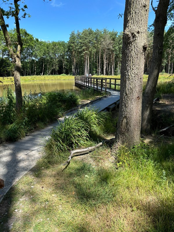 Image of the entrance to a bridge area.