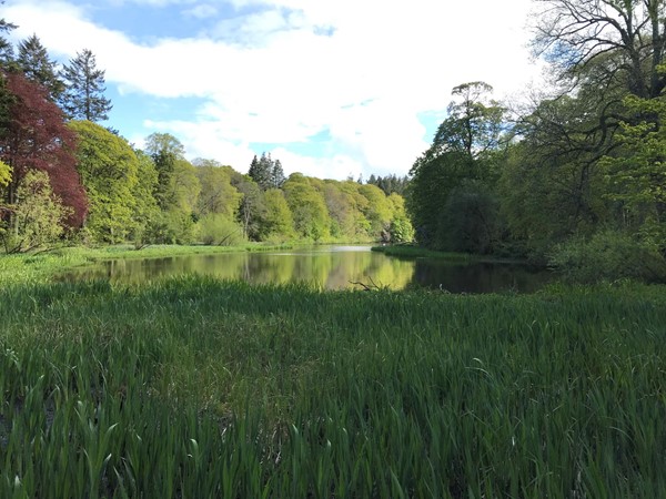 Picture of Fyvie Castle grounds