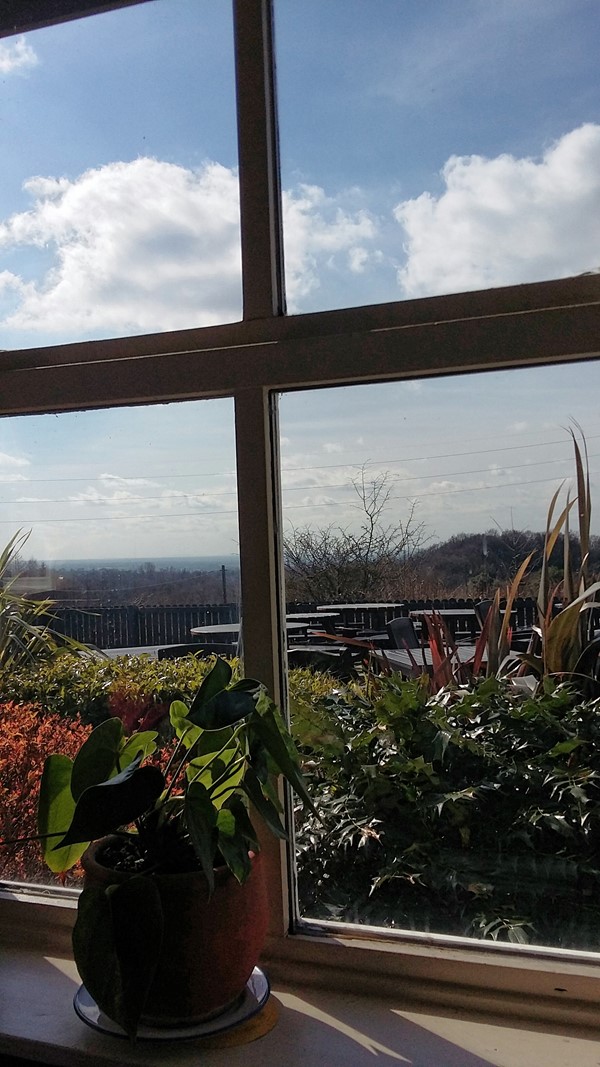 View from our table