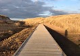 Picture of Balmedie Country Park
