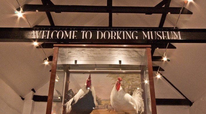 Dorking Museum & Heritage Centre