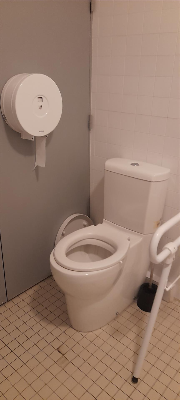 Image of an accessible toilet