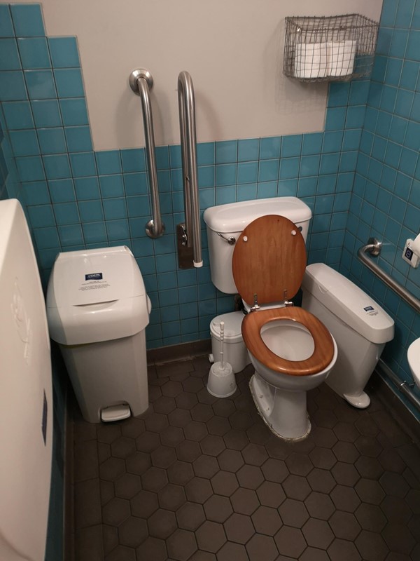 Image of the accessible toilet.