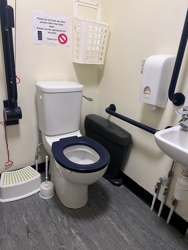 Picture of an accessible toilet