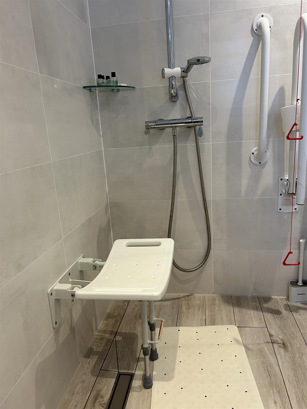 Image of an accessible toilet.