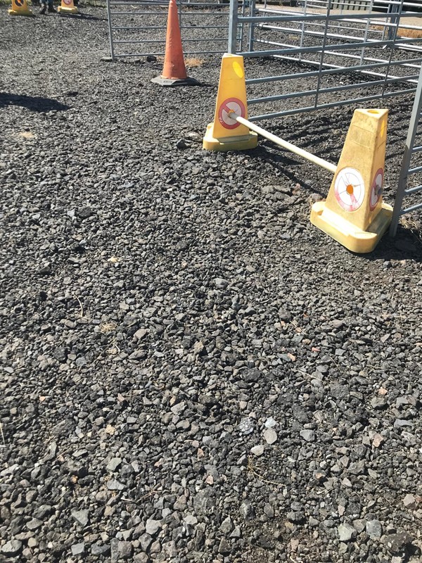 Gravel are for alpaca walk/ assault course