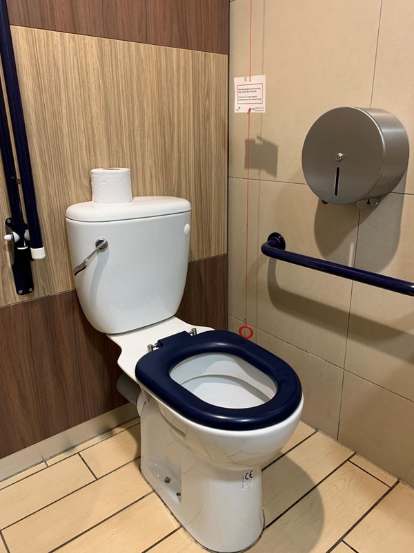 Image of toilet showing handrails on either side, red cord hanging to floor and toilet roll dispenser on left hand side.