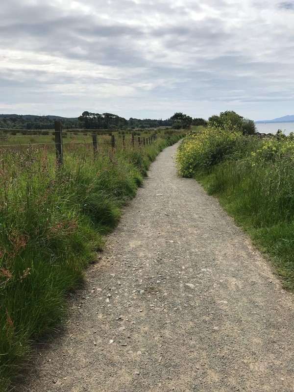 Gravel section of footpath