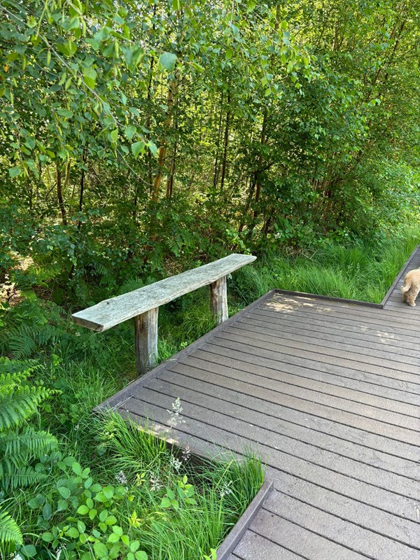 Image of a bench area.