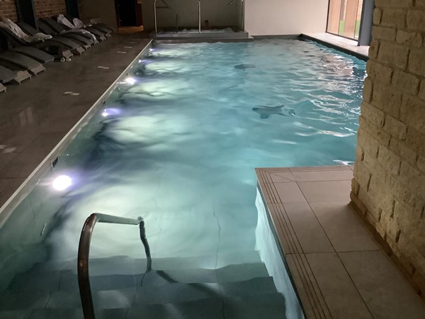 Picture of a swimming pool
