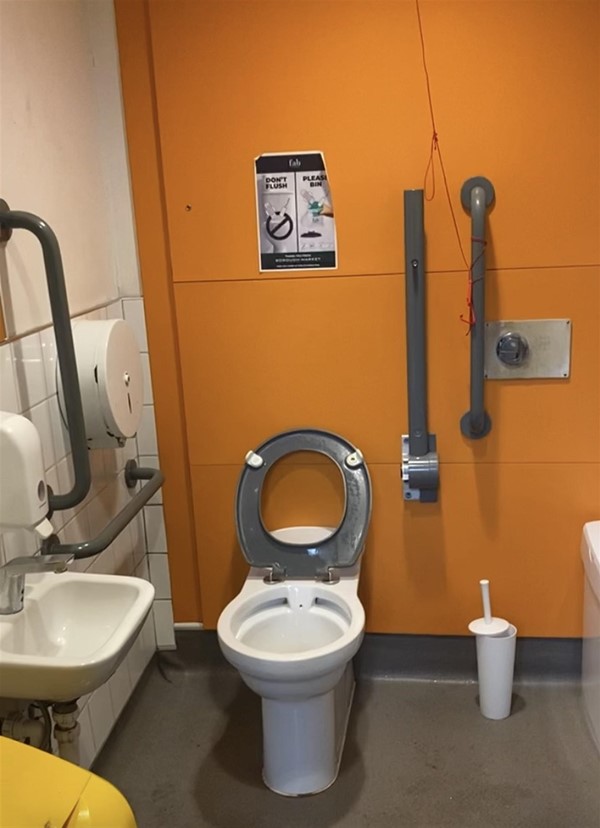 Image of a toilet with grab rails