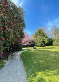 National Trust - Lanhydrock