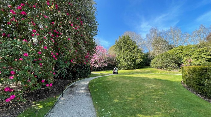 National Trust - Lanhydrock