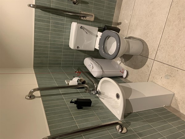 Image of the inside of the bathroom. The sink is on the left wall and the toilet is on the right wall. The sink is a small pedestal sink and the tap has a short lever and there is liquid soap in a dispenser above the sink. There is a toilet paper holder  and a narrow sanitary bin with a pedal-operated lid to the right of the sink/toilet. There is a horizontal handrail to the left of the toilet that can be lifted and moved out of the way. There is space for a right-side transfer. The flush is a lever. There is a red cord close to the wall to the right of the toilet and the sink