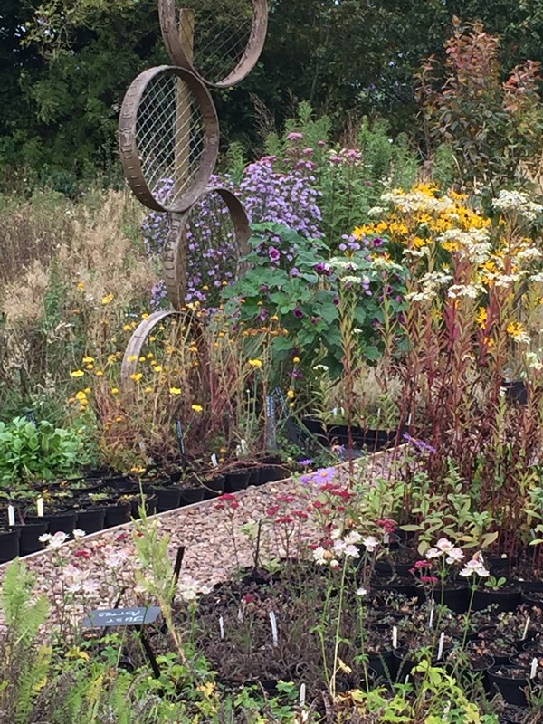 Whitmuir the Organic Place, Edinburgh