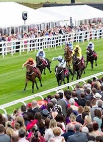 Musselburgh Racecourse