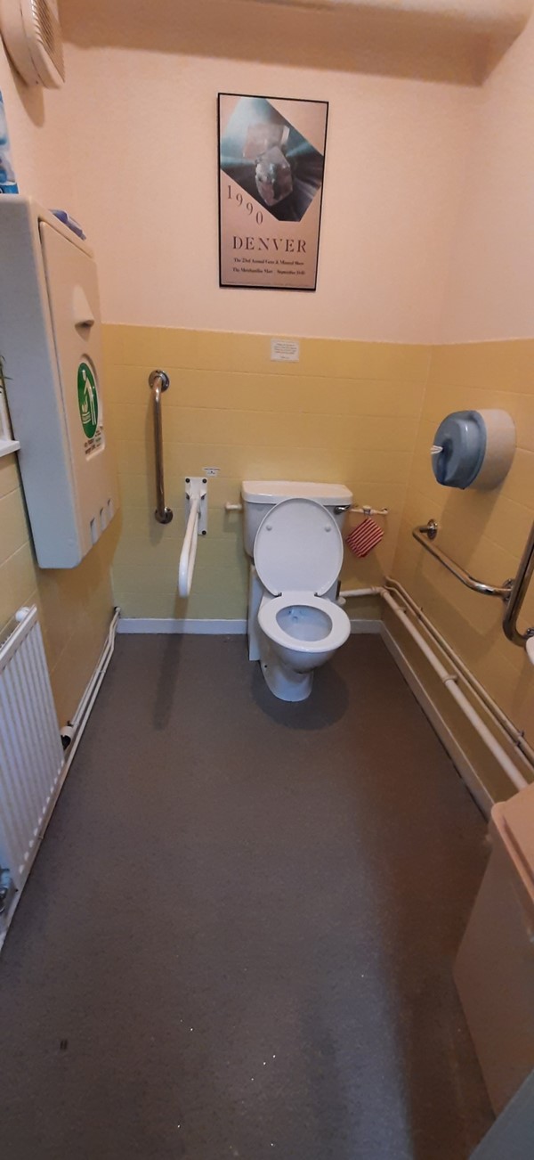 Accessible toilet