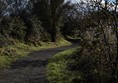 path around the reserve