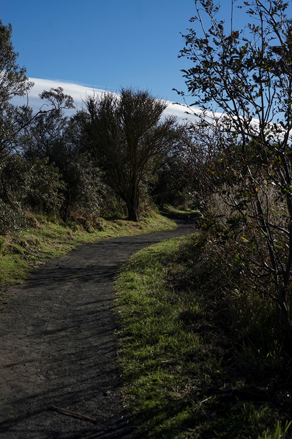 path around the reserve
