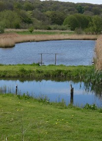 Rodley Nature Reserve