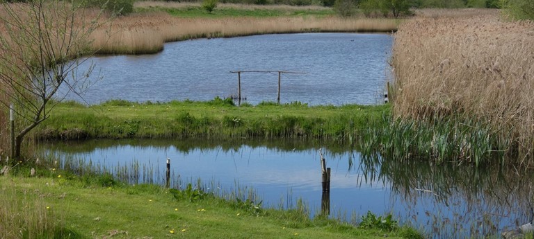 Rodley Nature Reserve