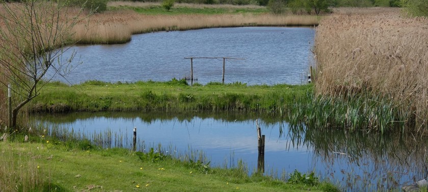 Rodley Nature Reserve