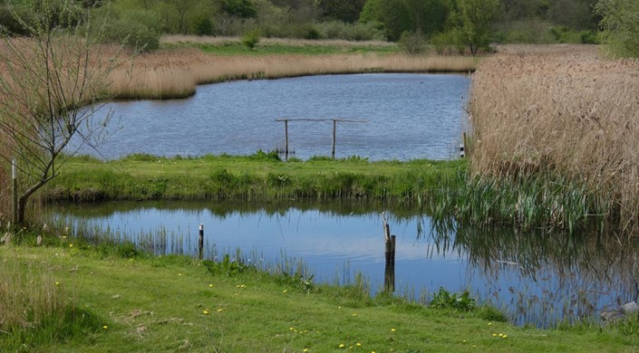 Rodley Nature Reserve