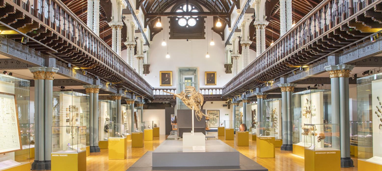 The Hunterian, University of Glasgow
