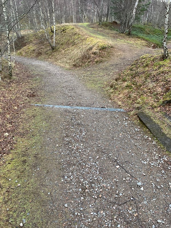 Rough terrain