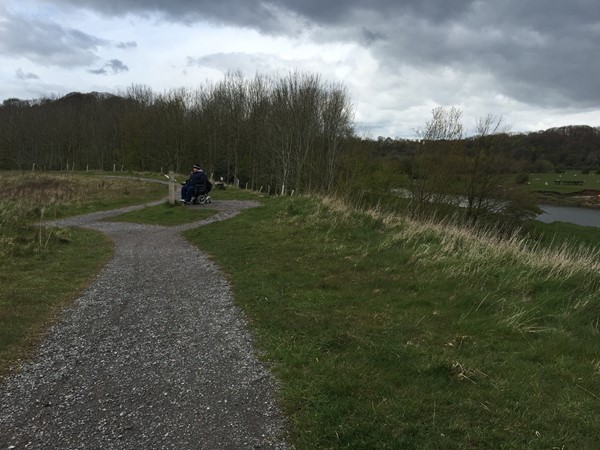 Picture of Brockholes Nature Reserve