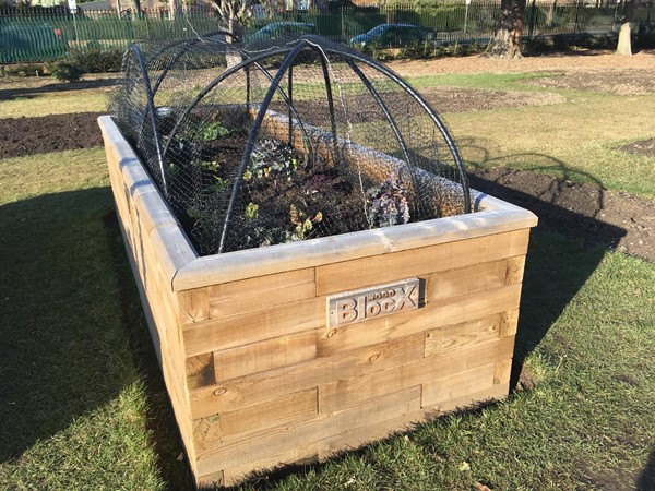 A raised planter by the Gardeners Cottage