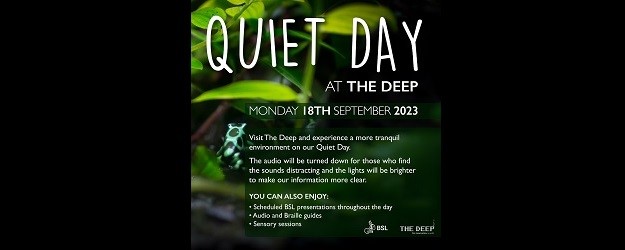Quiet Day at The Deep article image