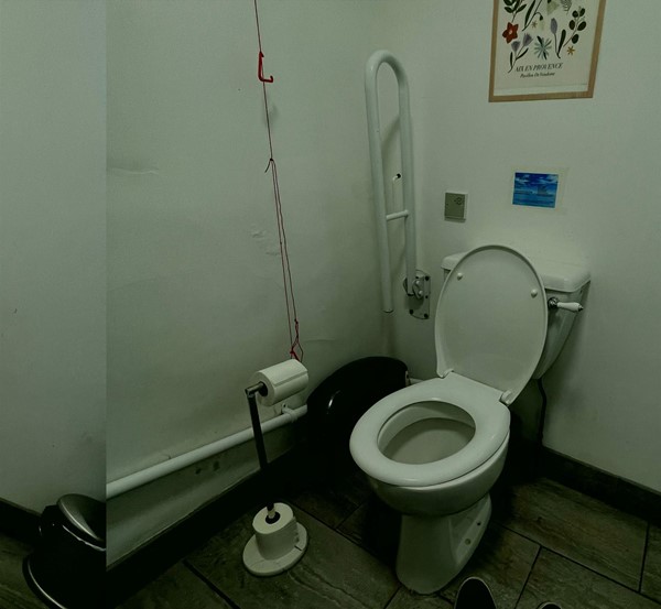Image of an accessible toilet