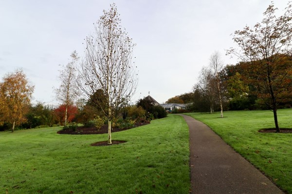 Long slope up from the gardens to the visitor centre with smooth tarmac path.