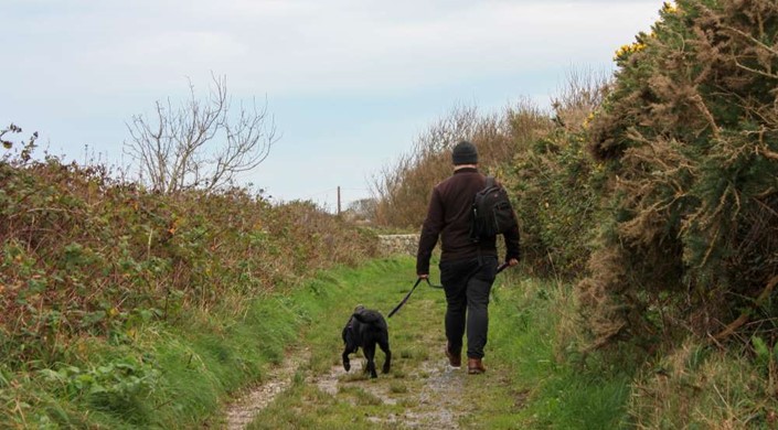 Breakwater Country Park