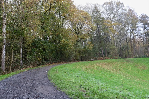 Path going round the crater