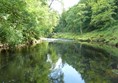 Picture of Strid Wood and the Strid
