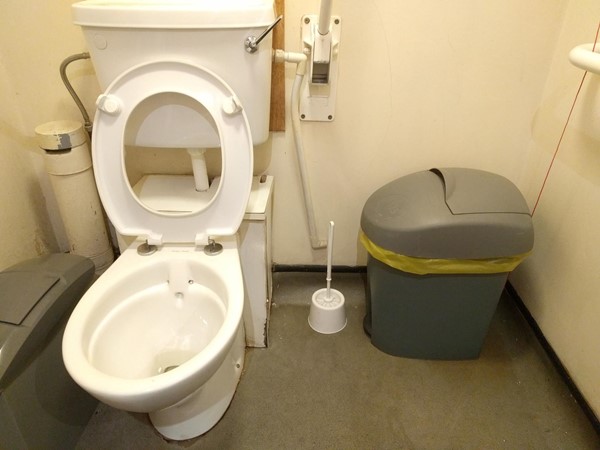 Accessible Toilet at Holland Tringham