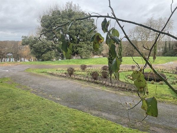 Image of a road through lawns.