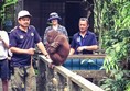 One of the orang-utans that we saw on the way to the feeding platform