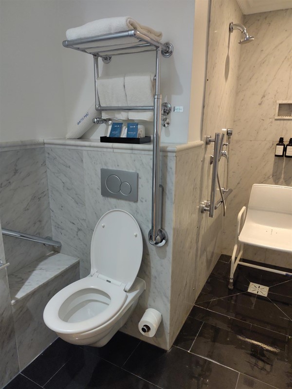 Low toilet, various grab rails. Towel rail high up on the wall behind.