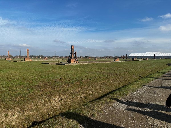 Some of the destroyed barracks at Birkenau all that is left is the chimneys of the buildings