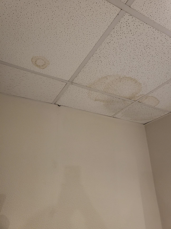 Image of stains on a ceiling