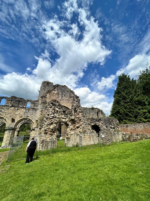 Imafe of a person standing in front of a ruined building