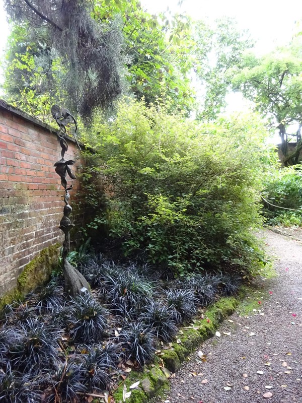 Picture of a path in a garden
