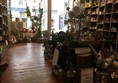 Image of another section of the shop.