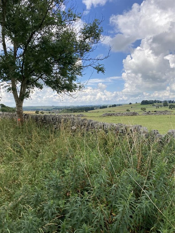 Image of the countryside